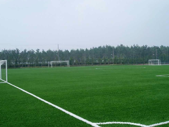 如果人造草足球场在中国早盛行十年会是怎样的一个结果？