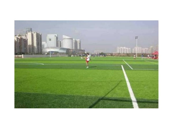 建一个足球场需要多少钱 建一个足球场需要多少钱