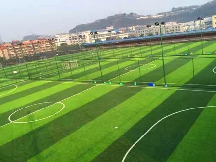 人造草足球场已经成为人们建设足球场的首选