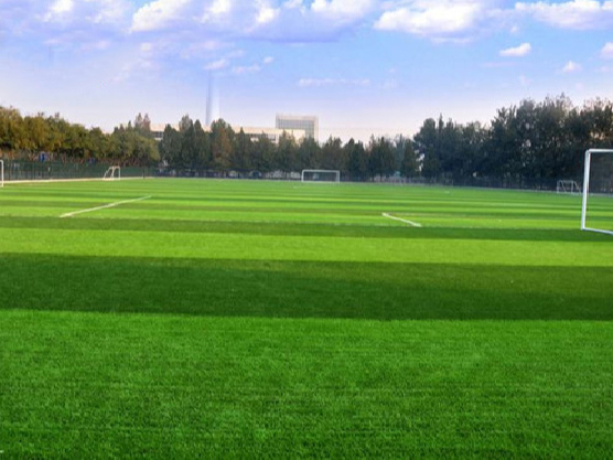 北京人造草足球场是否要搭配保温材料