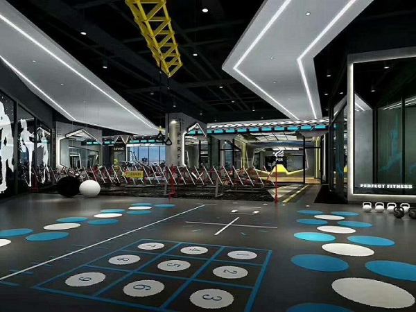 健身房塑胶地板/PVC地胶（360多功能）