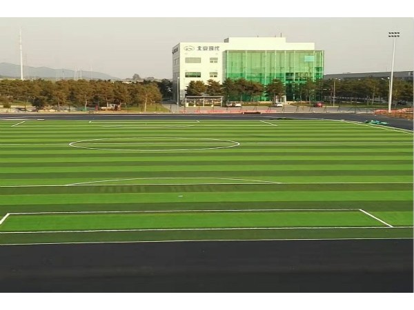 北京现代技术中心人造草坪足球场完美竣工